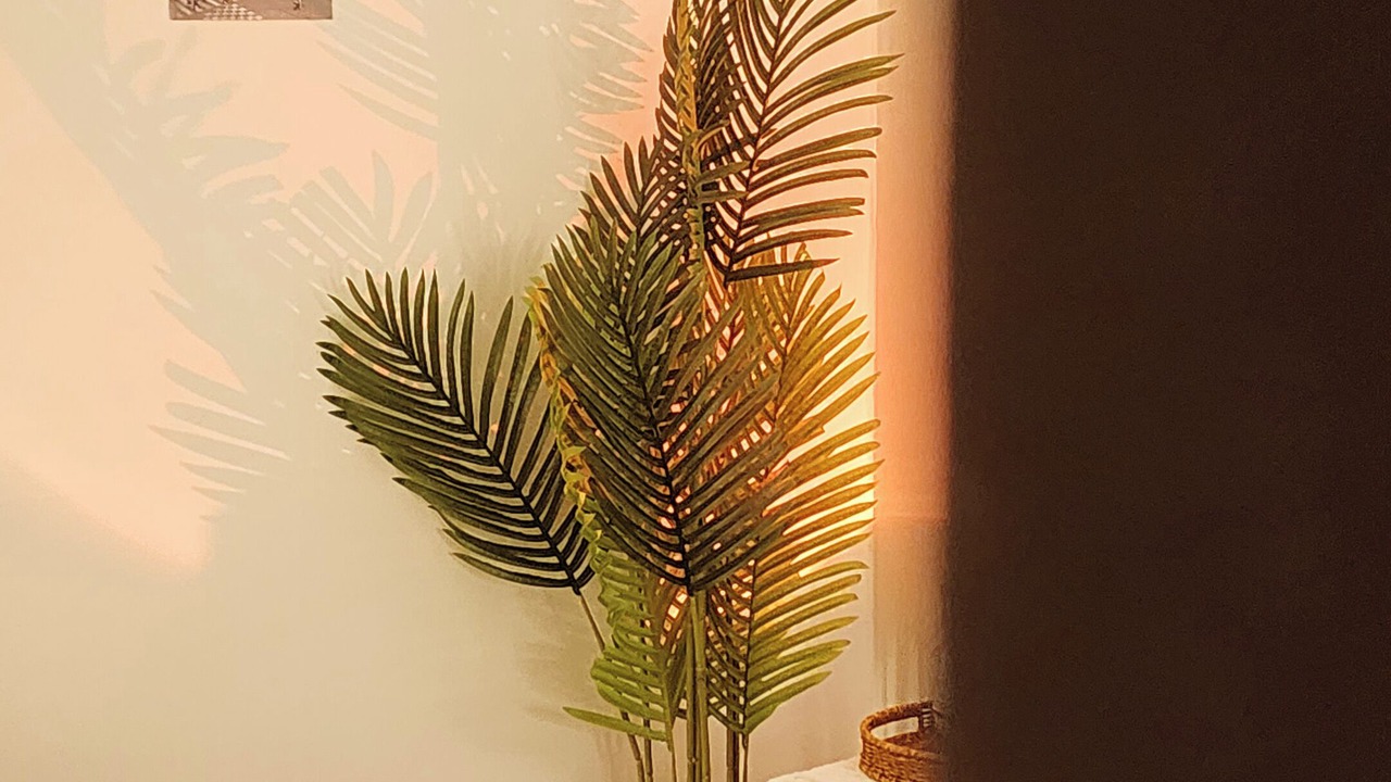 Photo of Bedroom in Dong-gu