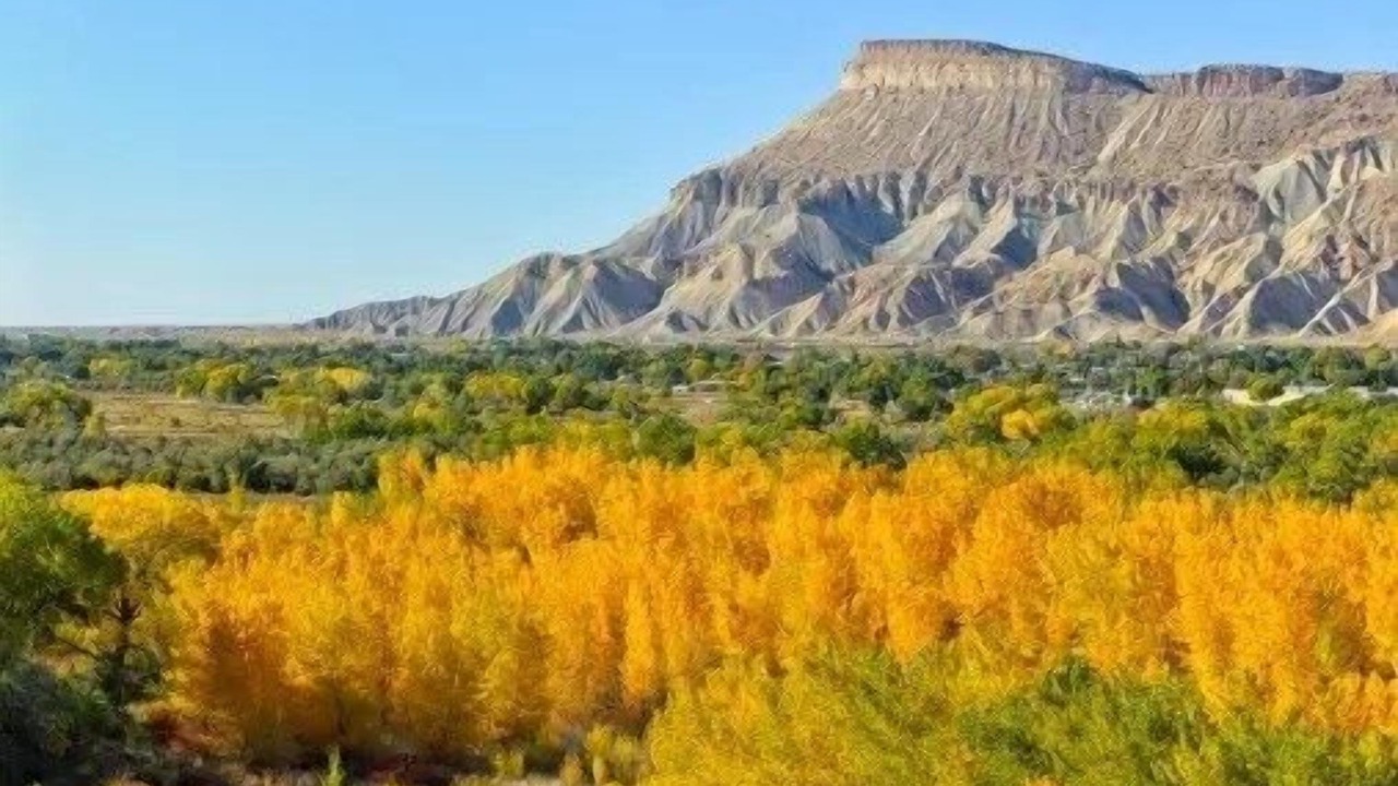 Photo of Others in Grand Junction