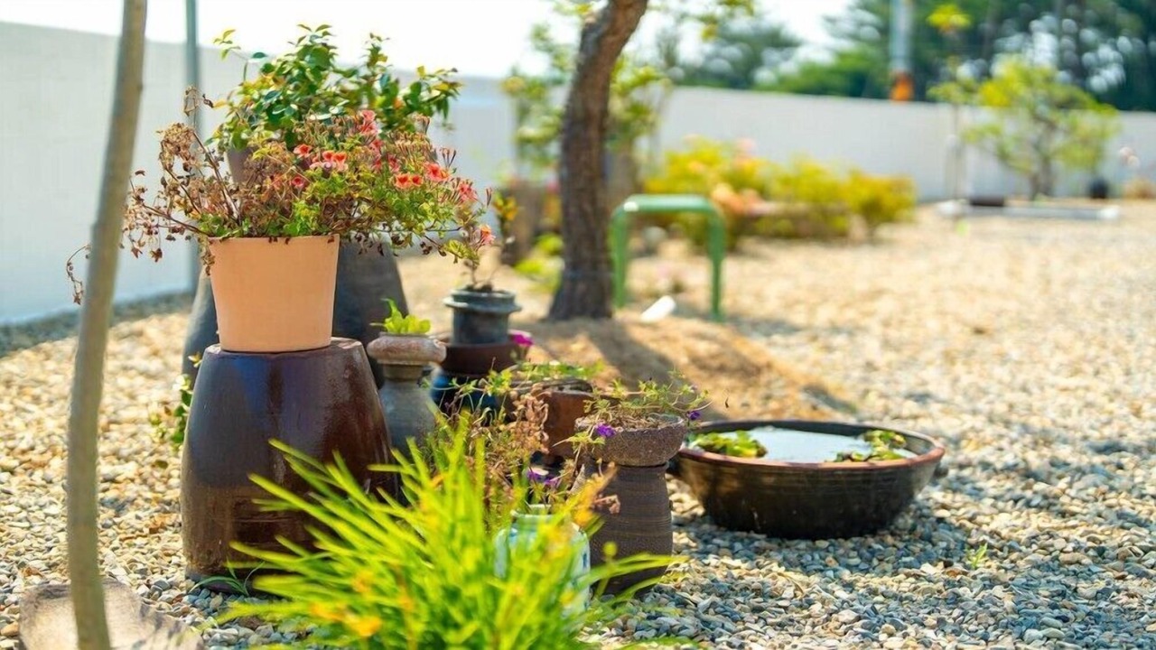 Photo of Outdoor in Gyeongju