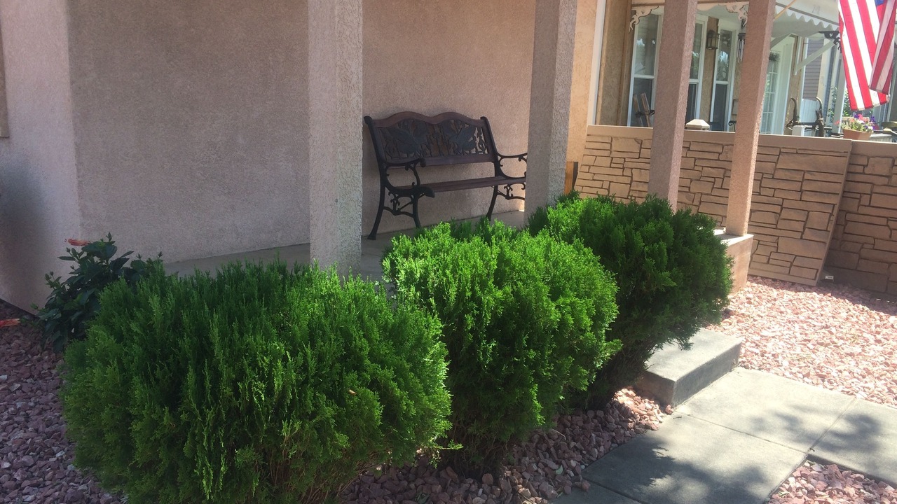 Photo of Others in Colorado Springs