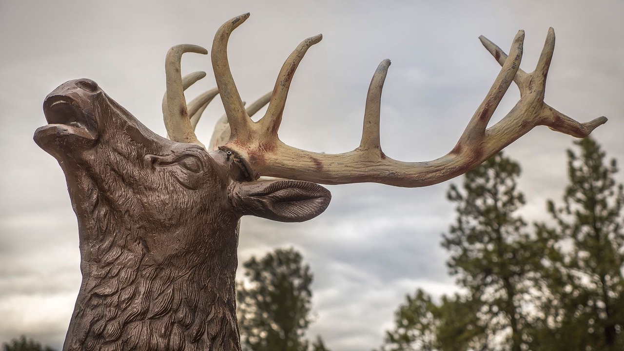 Photo of Bedroom in Pagosa Springs