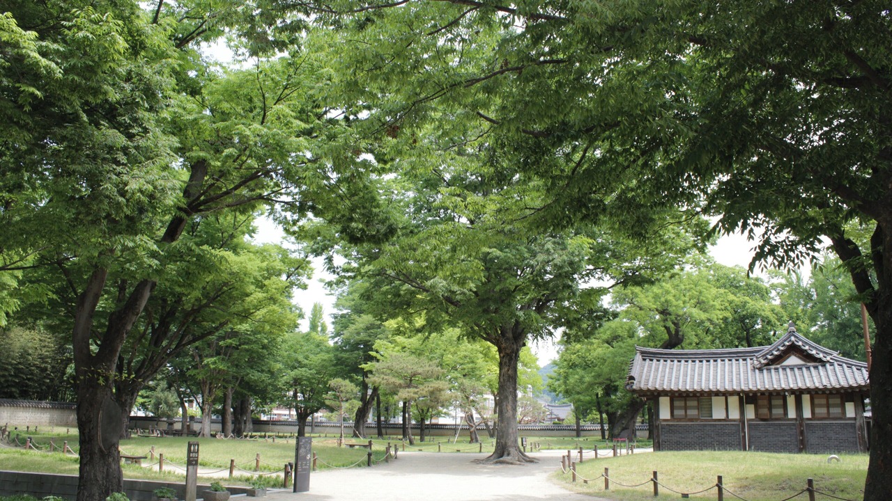 Photo of Others in Jeonju
