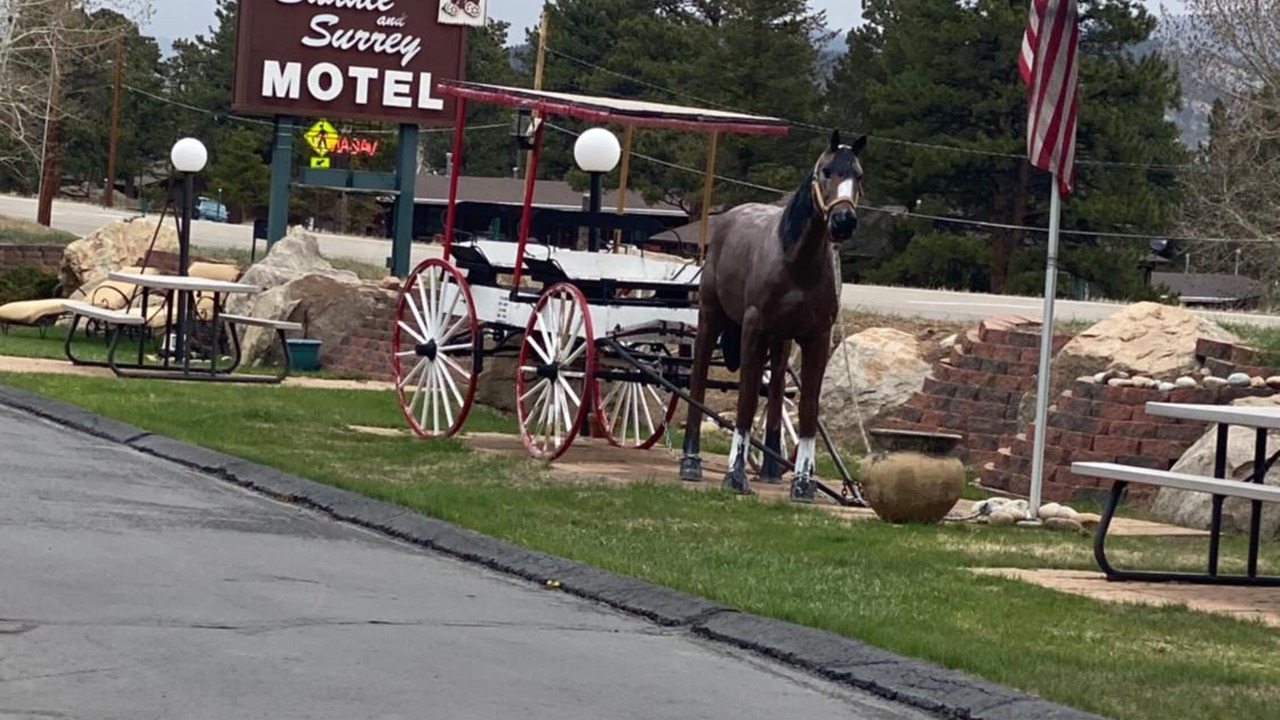 Photo of Outdoor in Estes Park