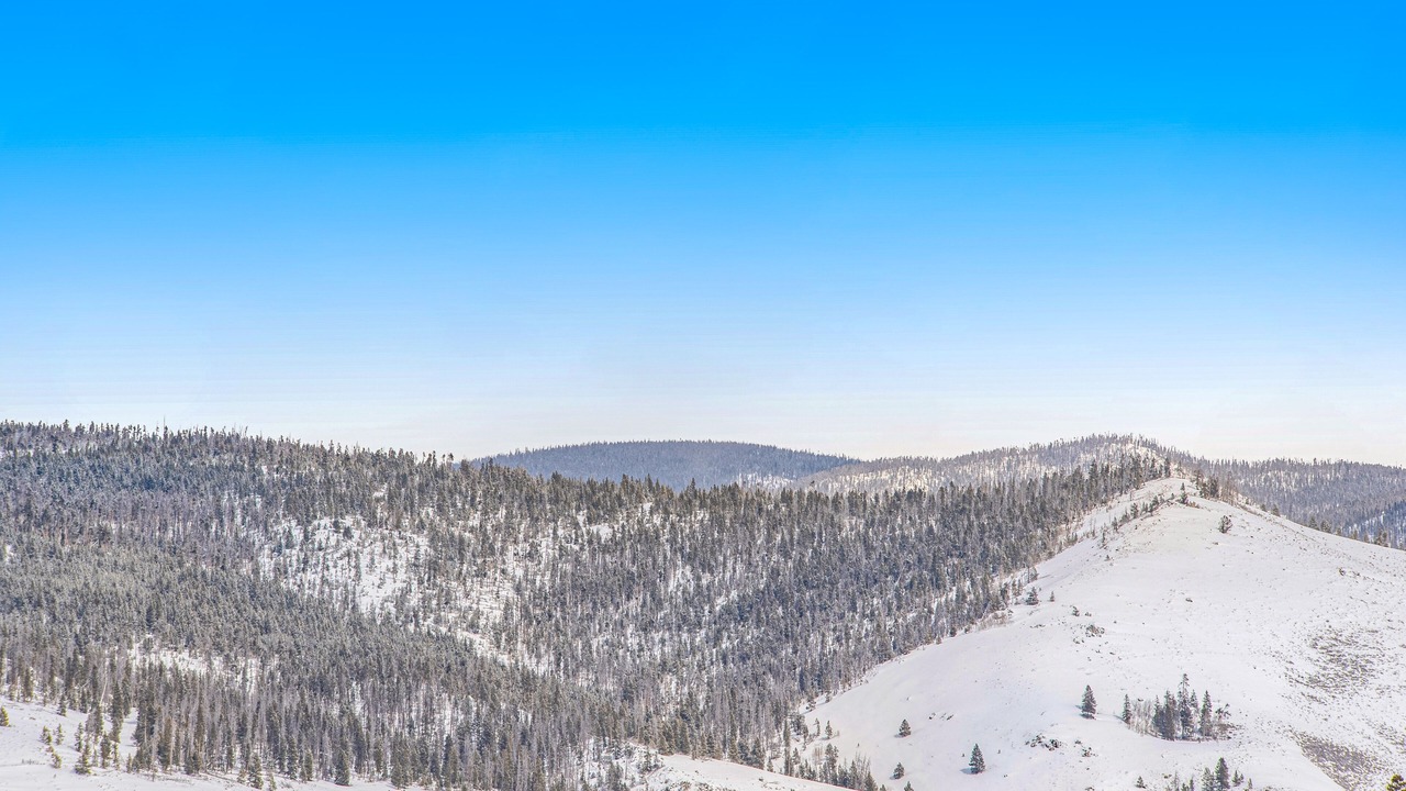 Photo of Others in Winter Park Highlands