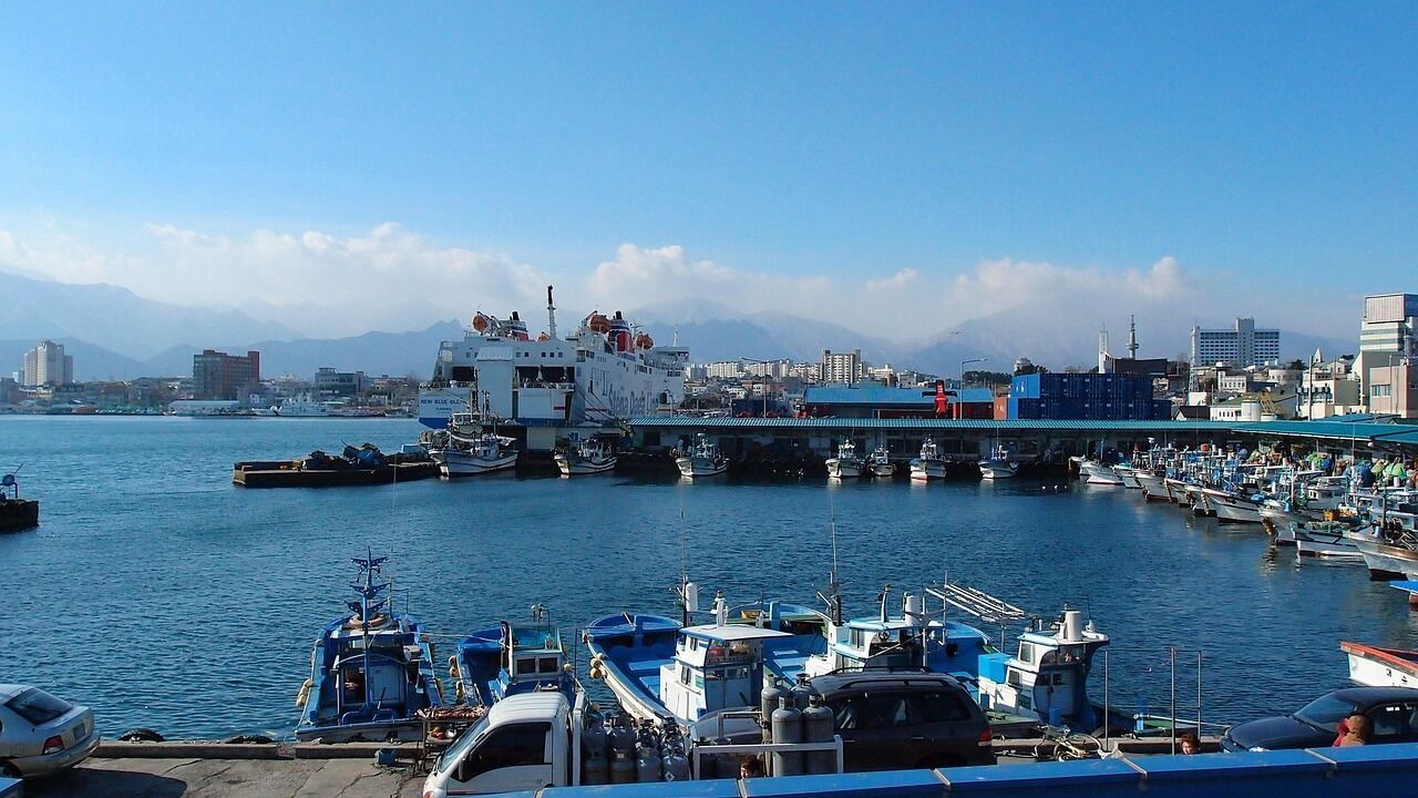 Photo of Others in Sokcho