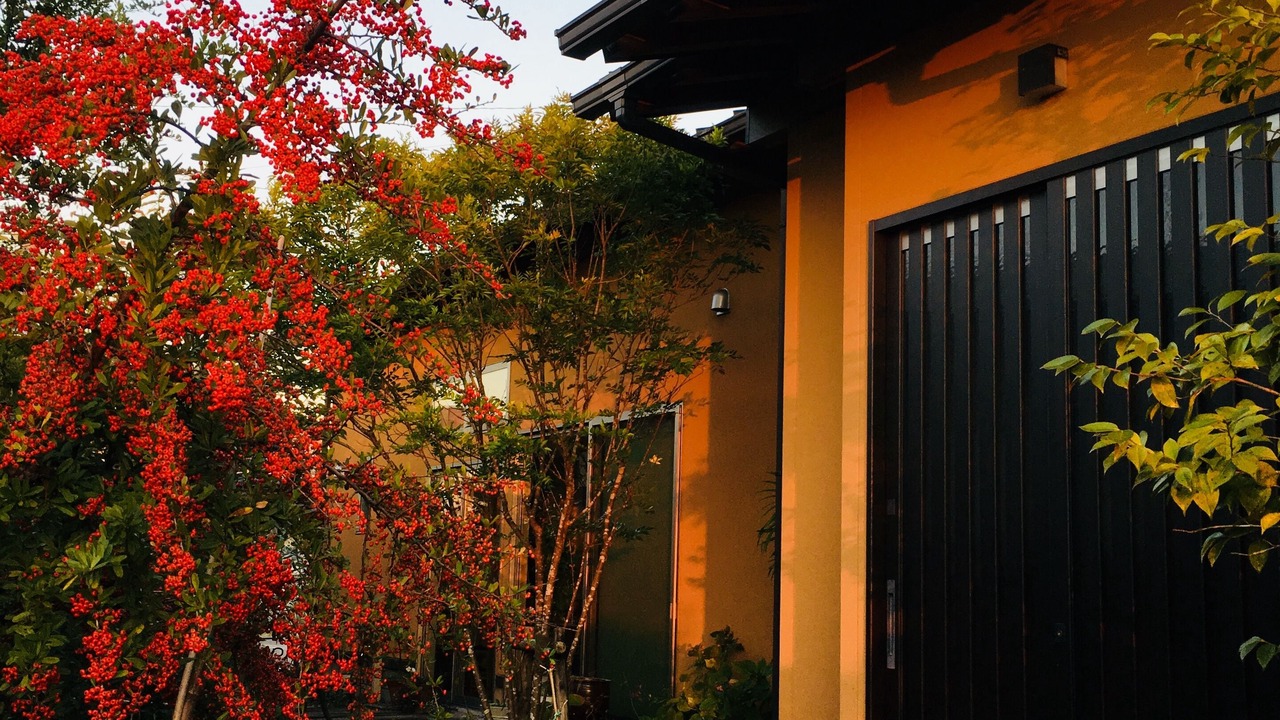 Photo of Outdoor in Ashizuri Onsen