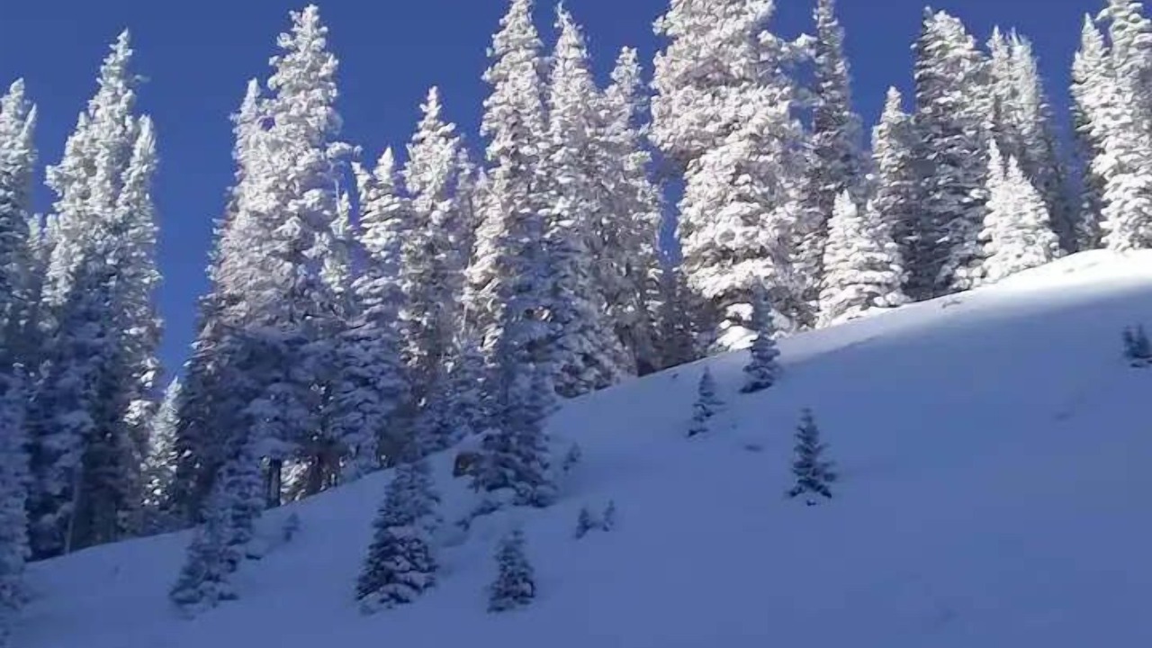Photo of Others in Fraser