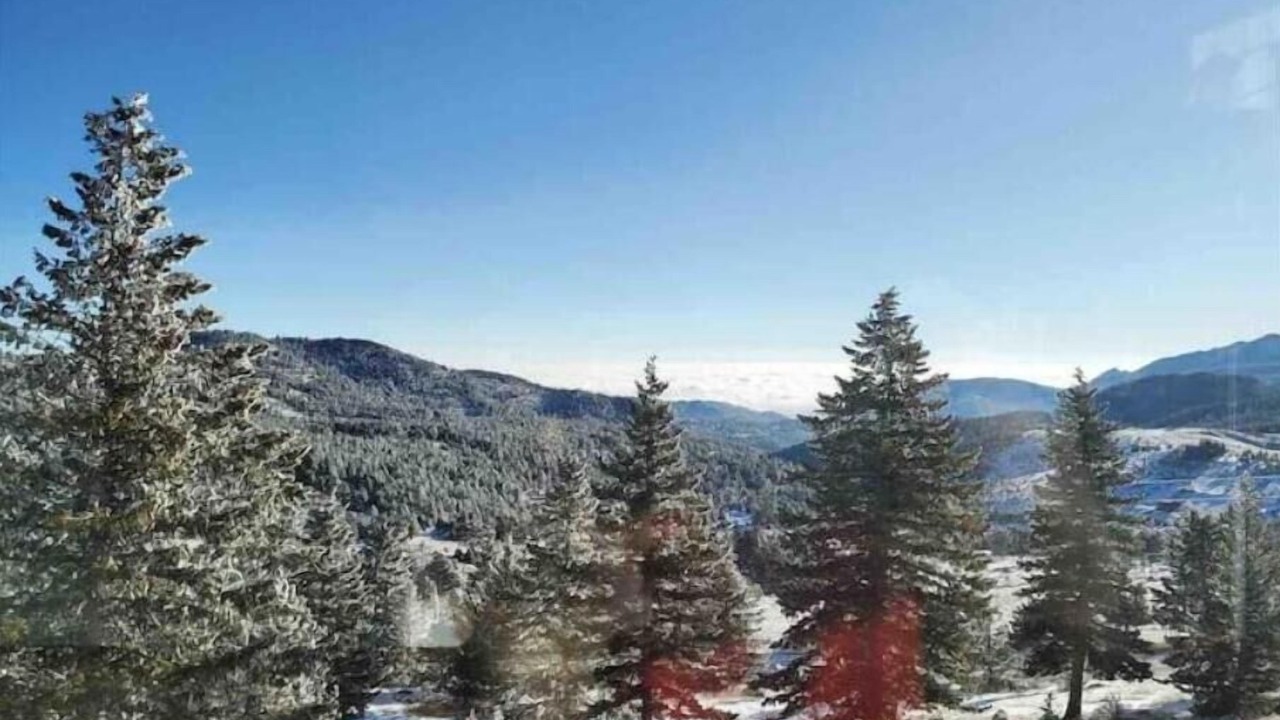Photo of Outdoor in Sugarloaf
