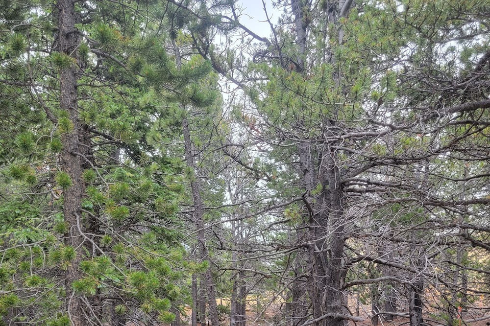 Photo of Outdoor in Black Hawk