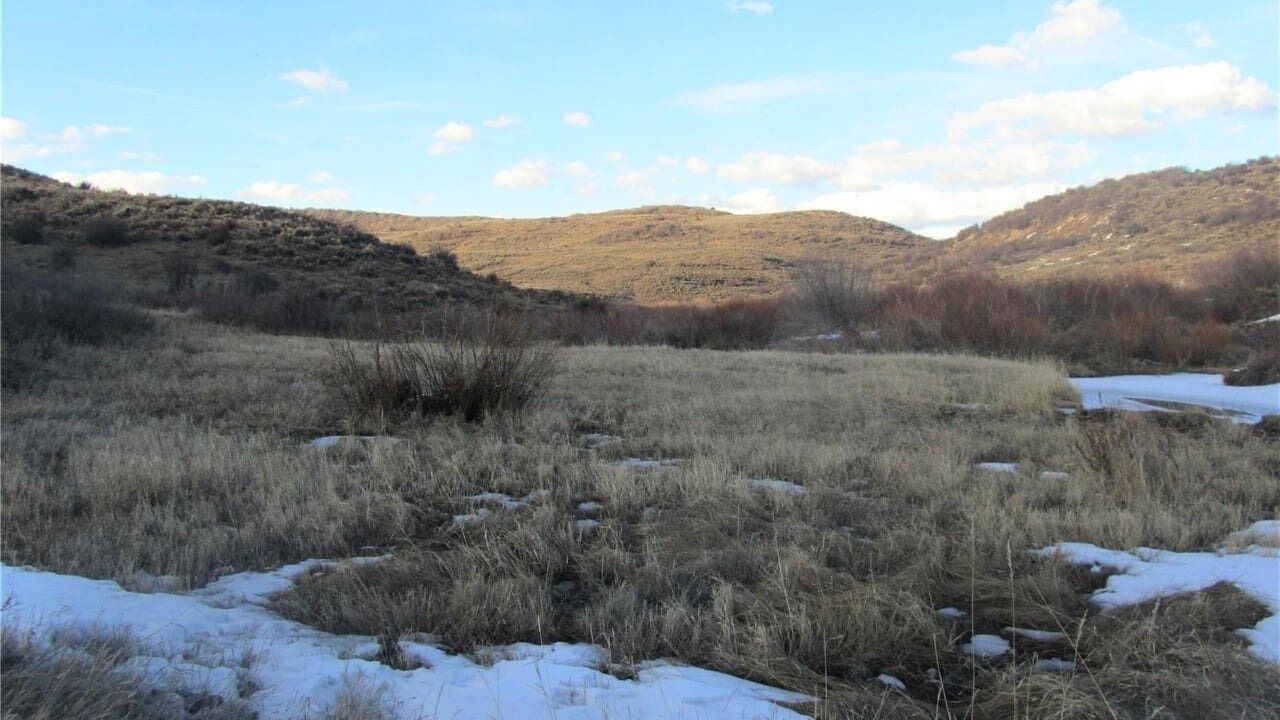 Photo of Others in Collbran