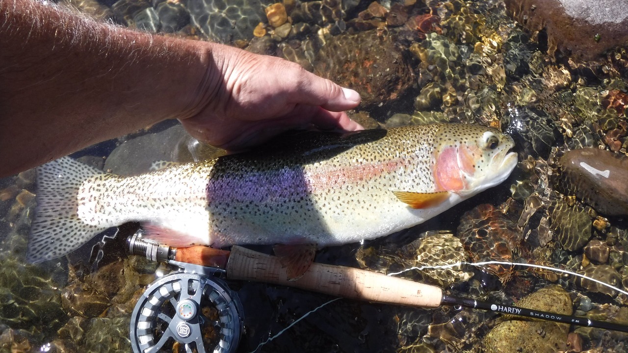 Photo of Others in San Juan River Village