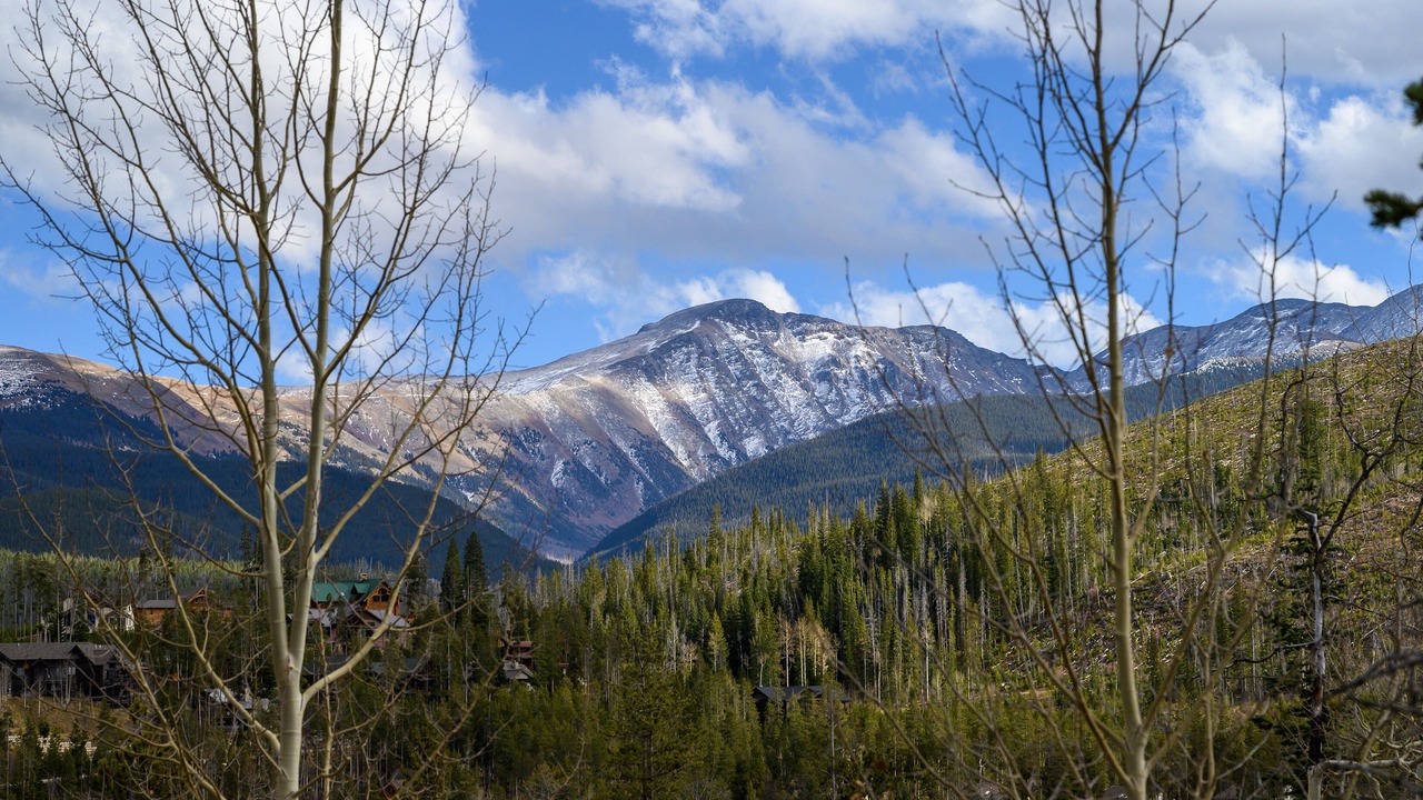 Photo of Others in Bear Crossing