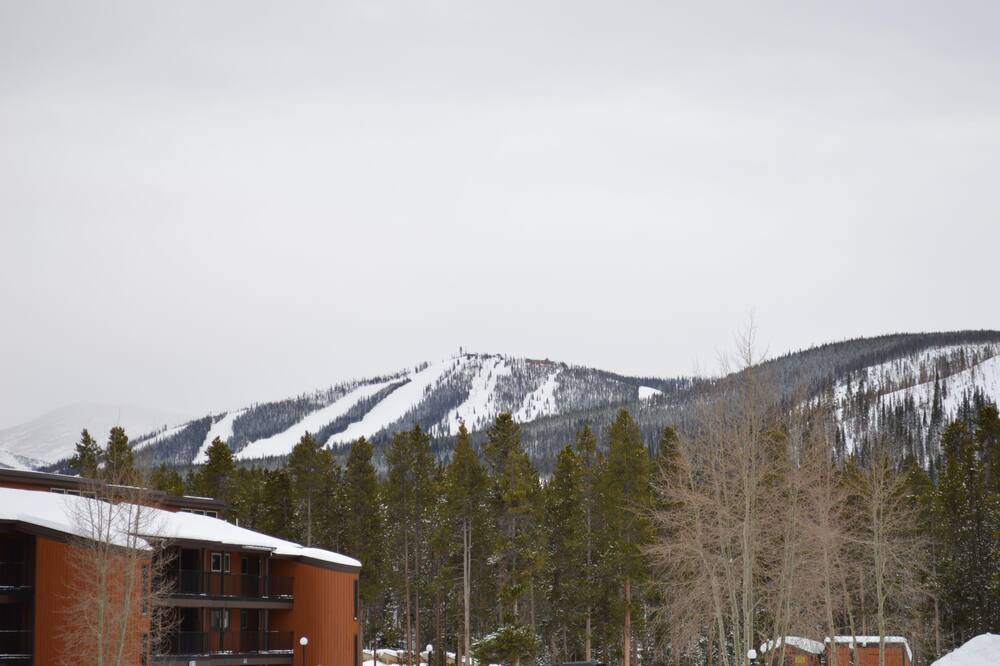 Photo of Others in Winter Park