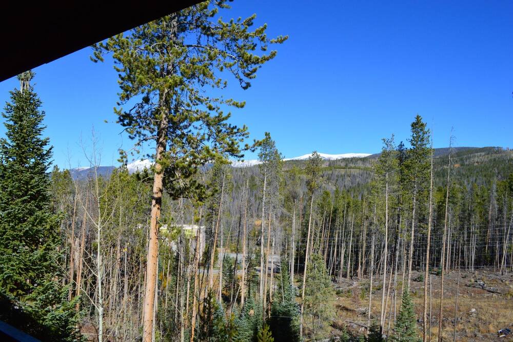 Photo of Others in Winter Park
