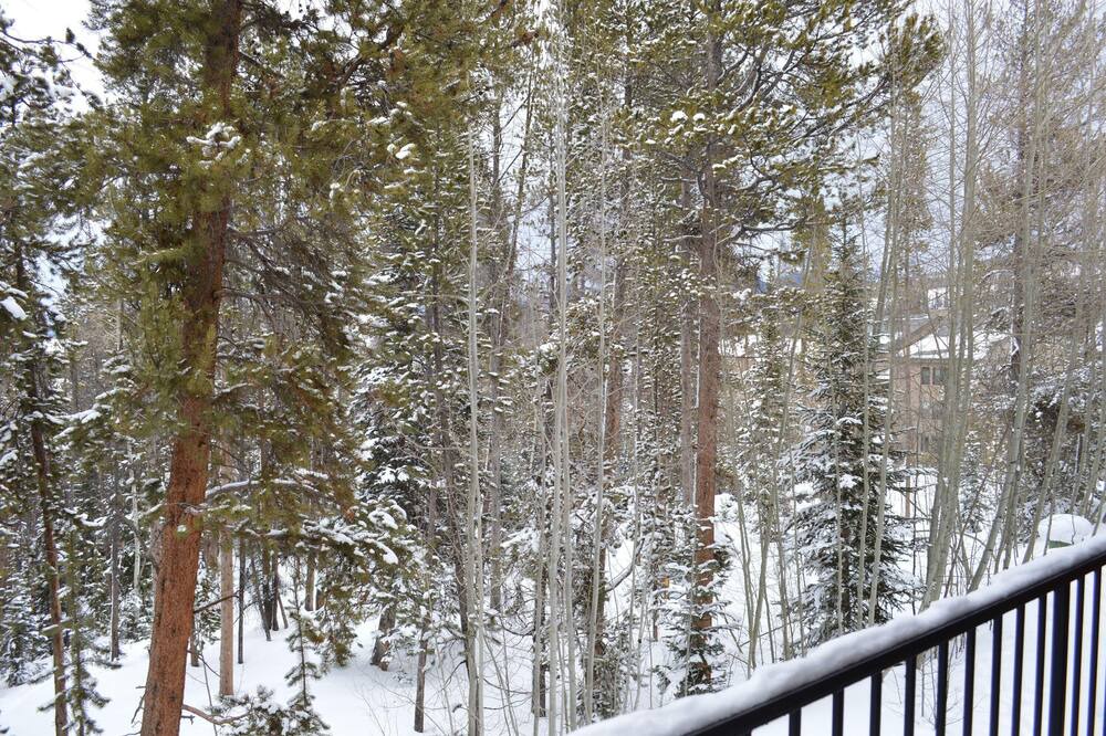 Photo of Patio Balcony in Winter Park