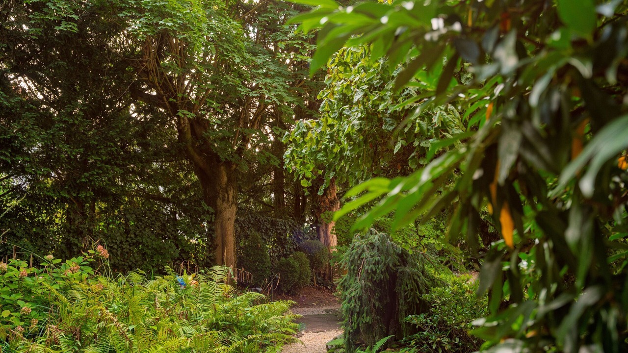 Photo of Outdoor in Relenberg