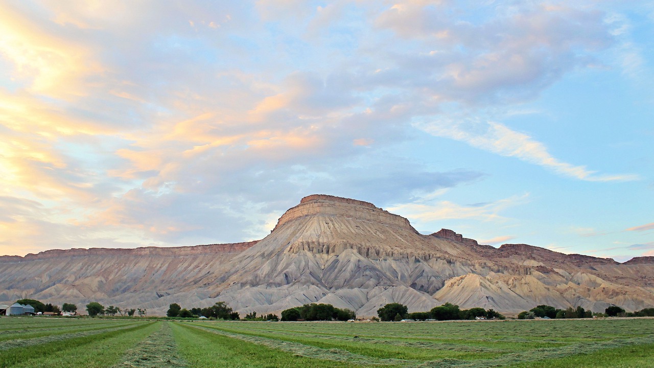 Photo of Others in Grand Junction