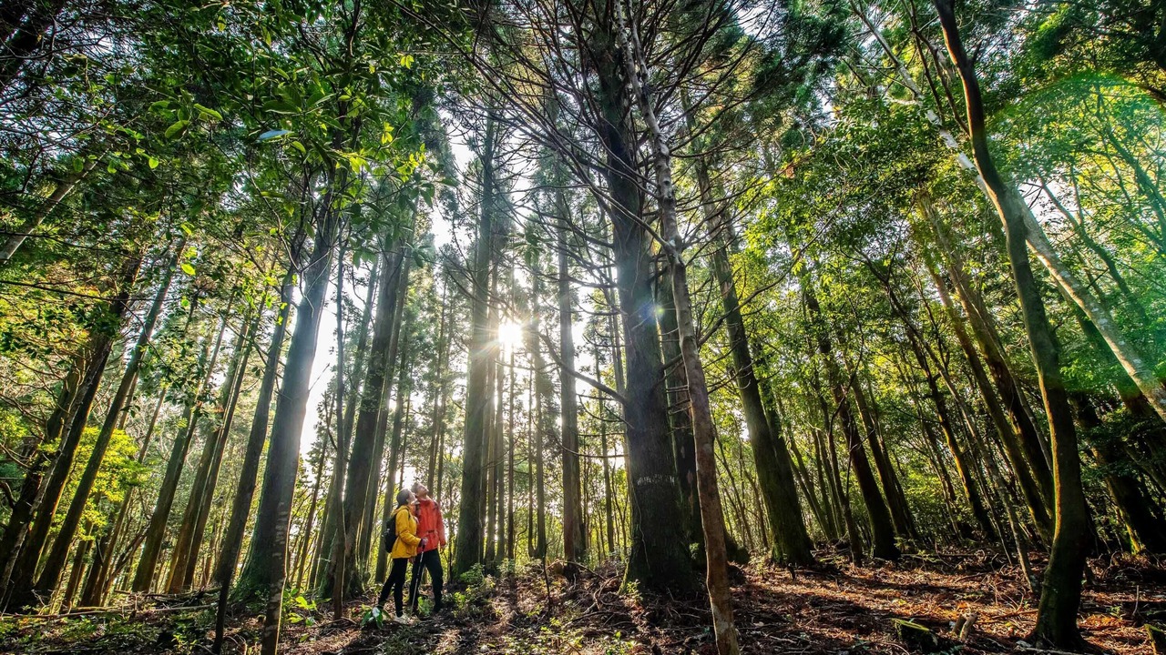 Photo of Outdoor in Jungmun