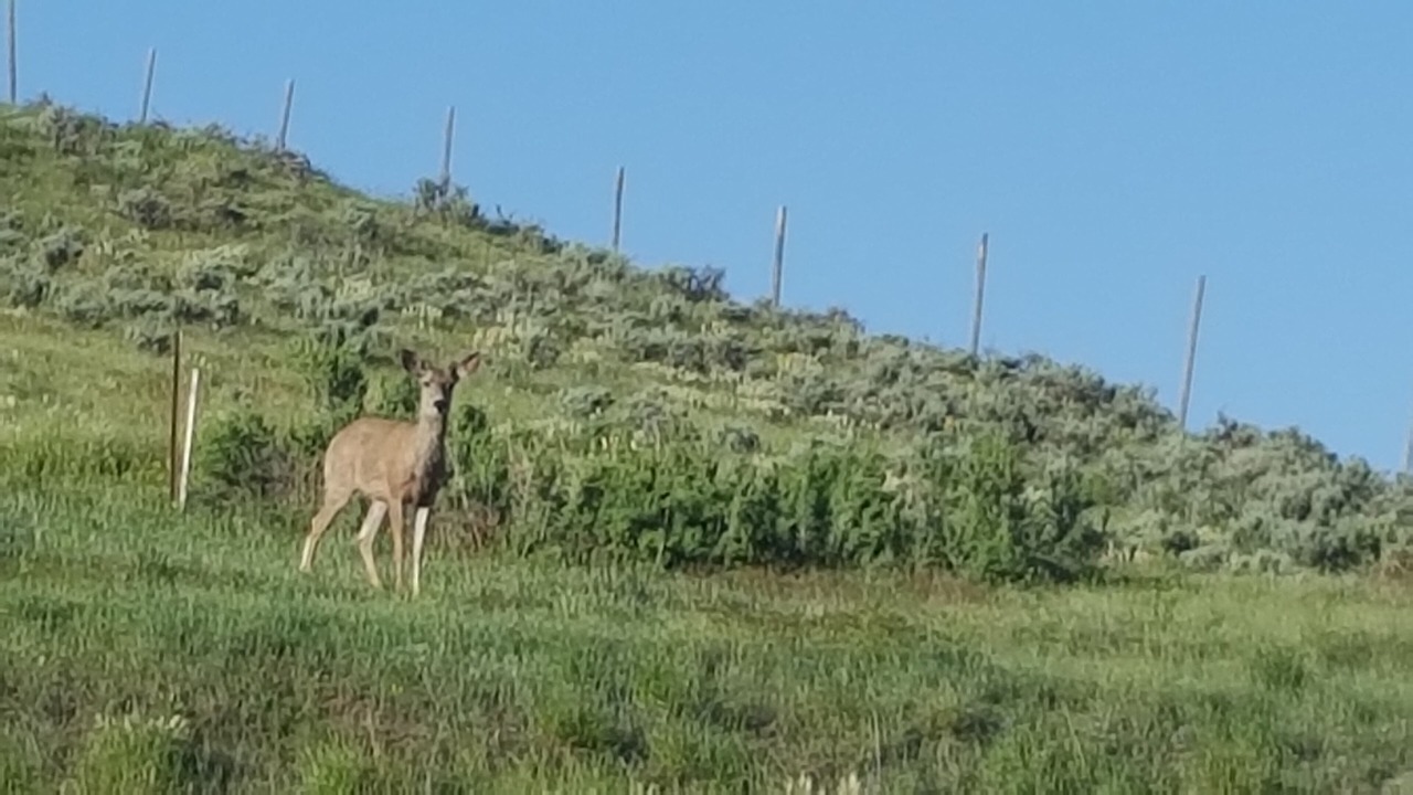 Photo of Outdoor in Craig