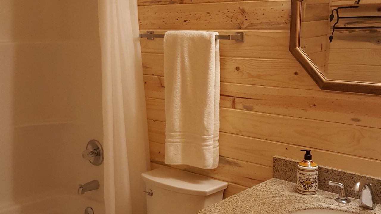 Photo of Bathroom in Craig