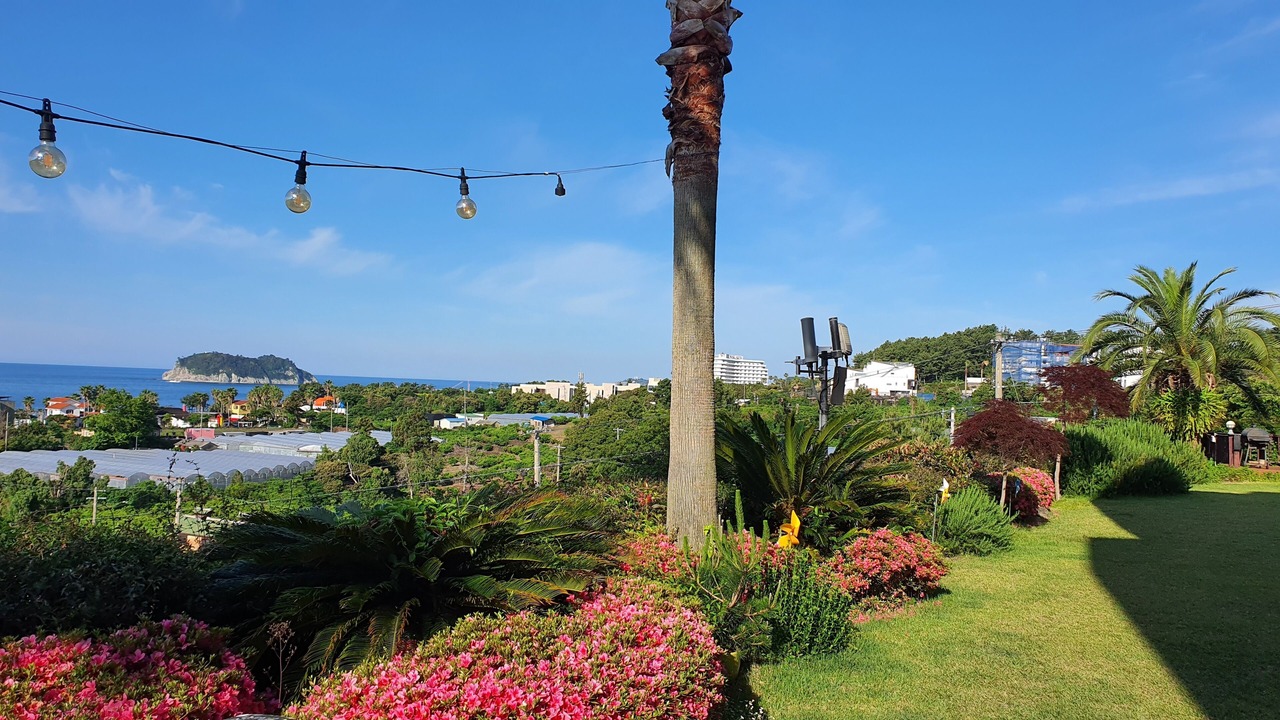 Photo of Outdoor in Songsan-dong