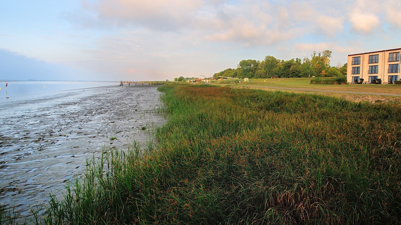 Photo of Outdoor in Toenning
