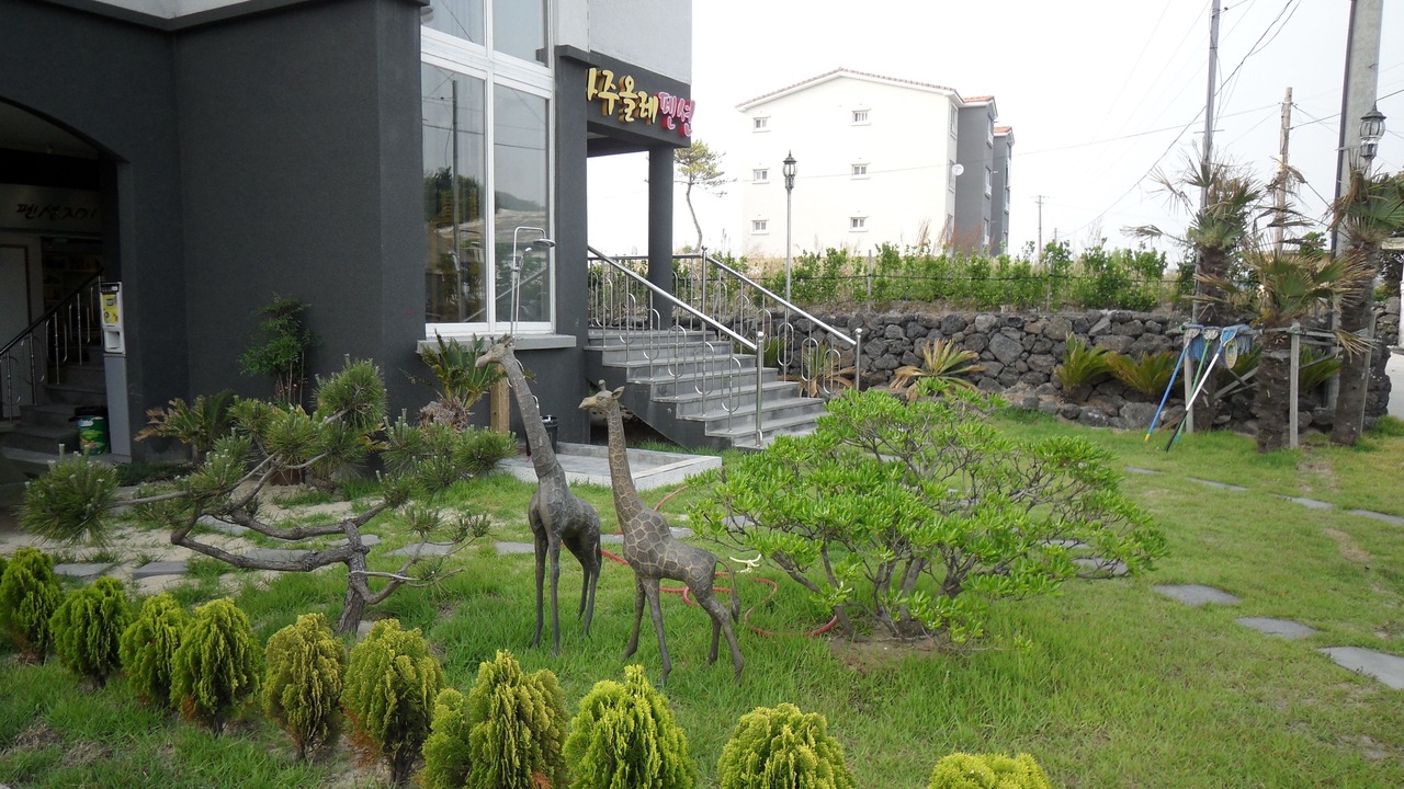 Photo of Outdoor in Aewol