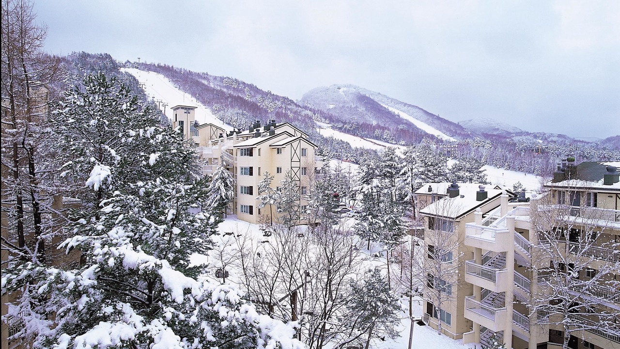 Photo of Outdoor in Daegwallyeong