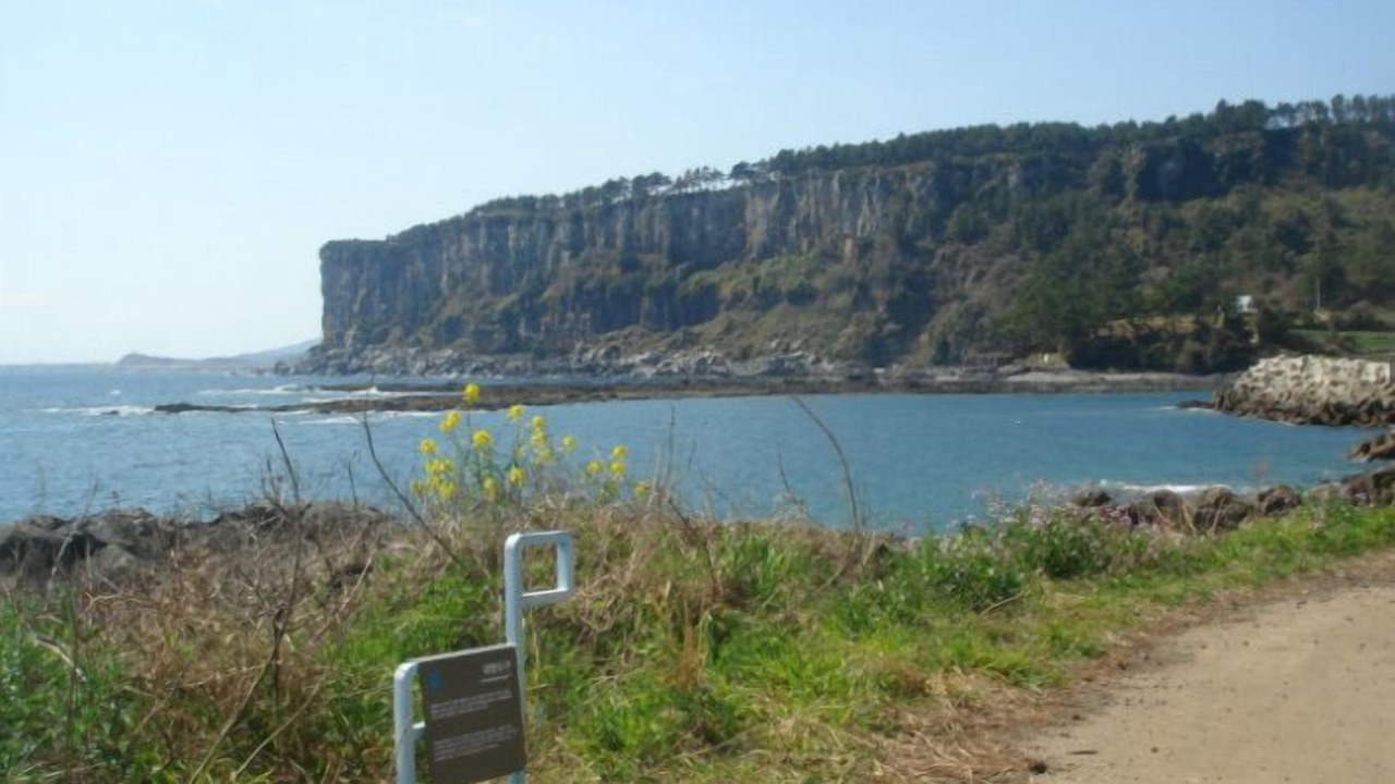 Photo of Others in Jungmun