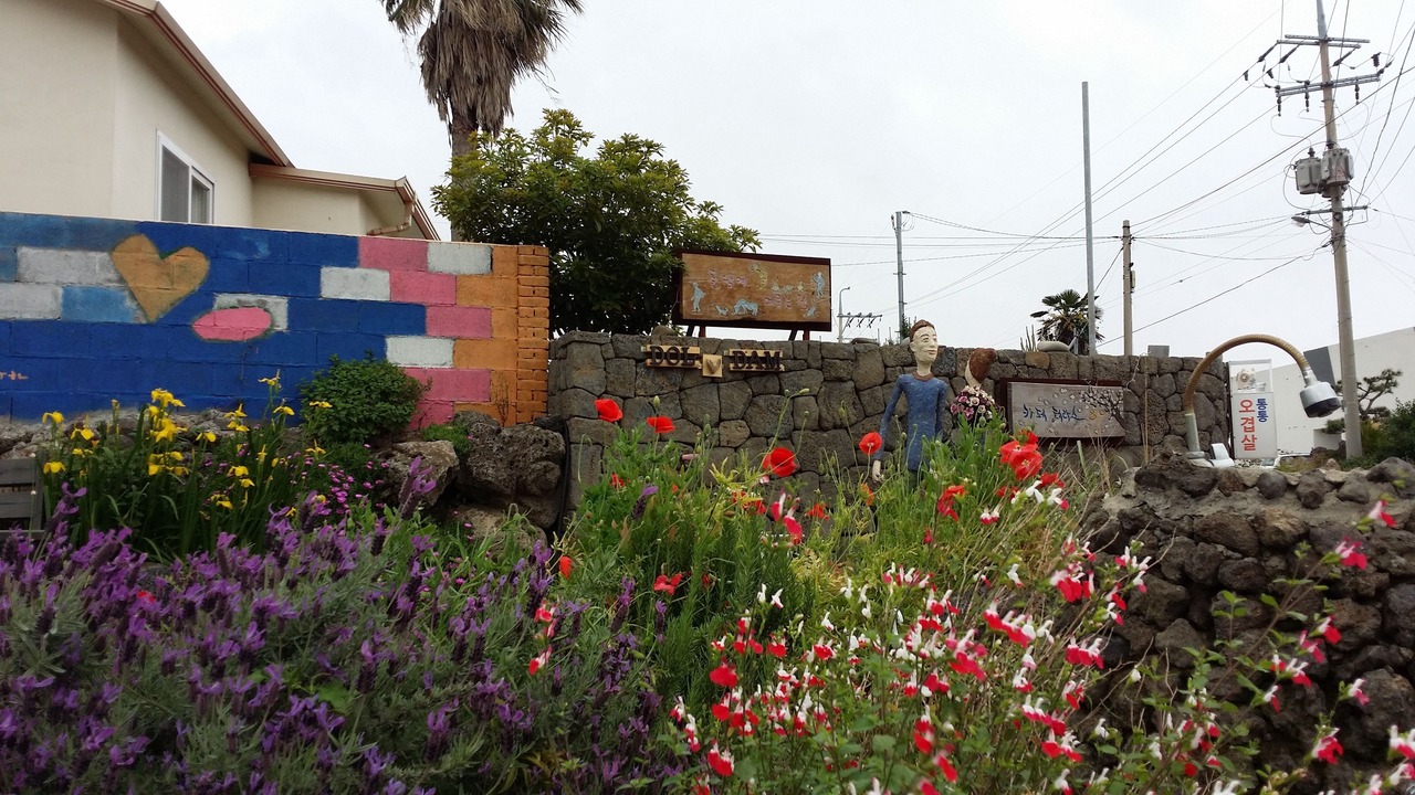 Photo of Outdoor in Jungmun
