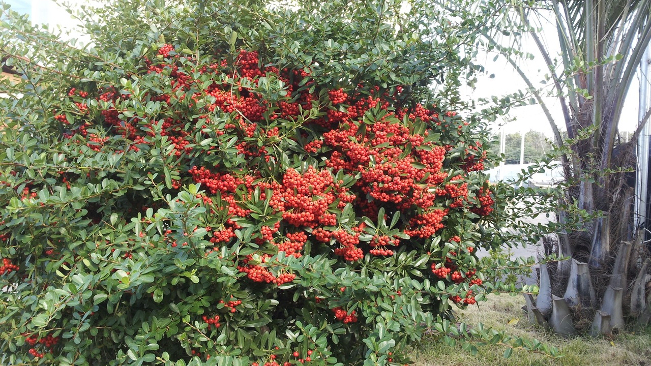 Photo of Outdoor in Gangjeong-dong