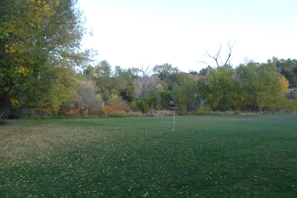 Photo of Others in Collbran