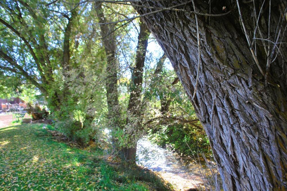 Photo of Outdoor in Collbran