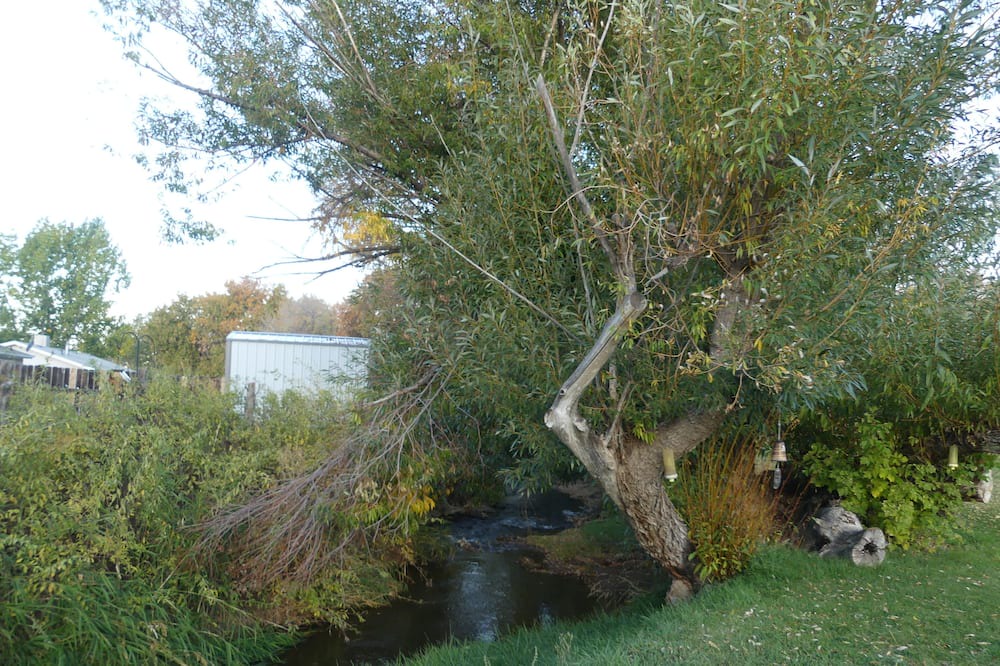 Photo of Outdoor in Collbran