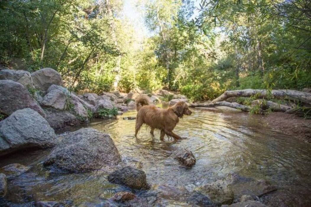 Photo of Others in Colorado Springs