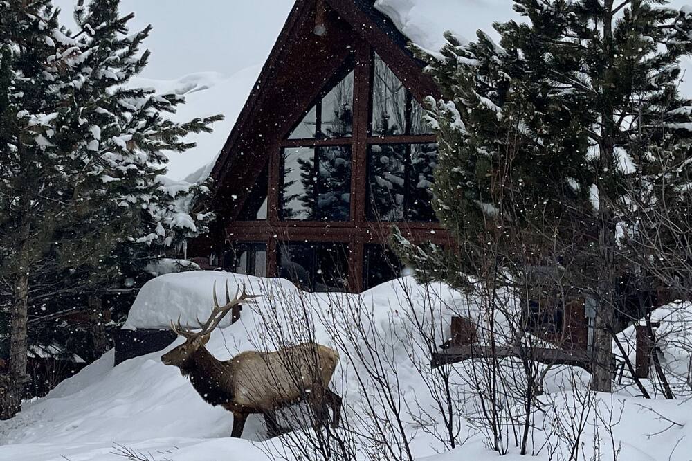 Photo of Outdoor in Steamboat Springs