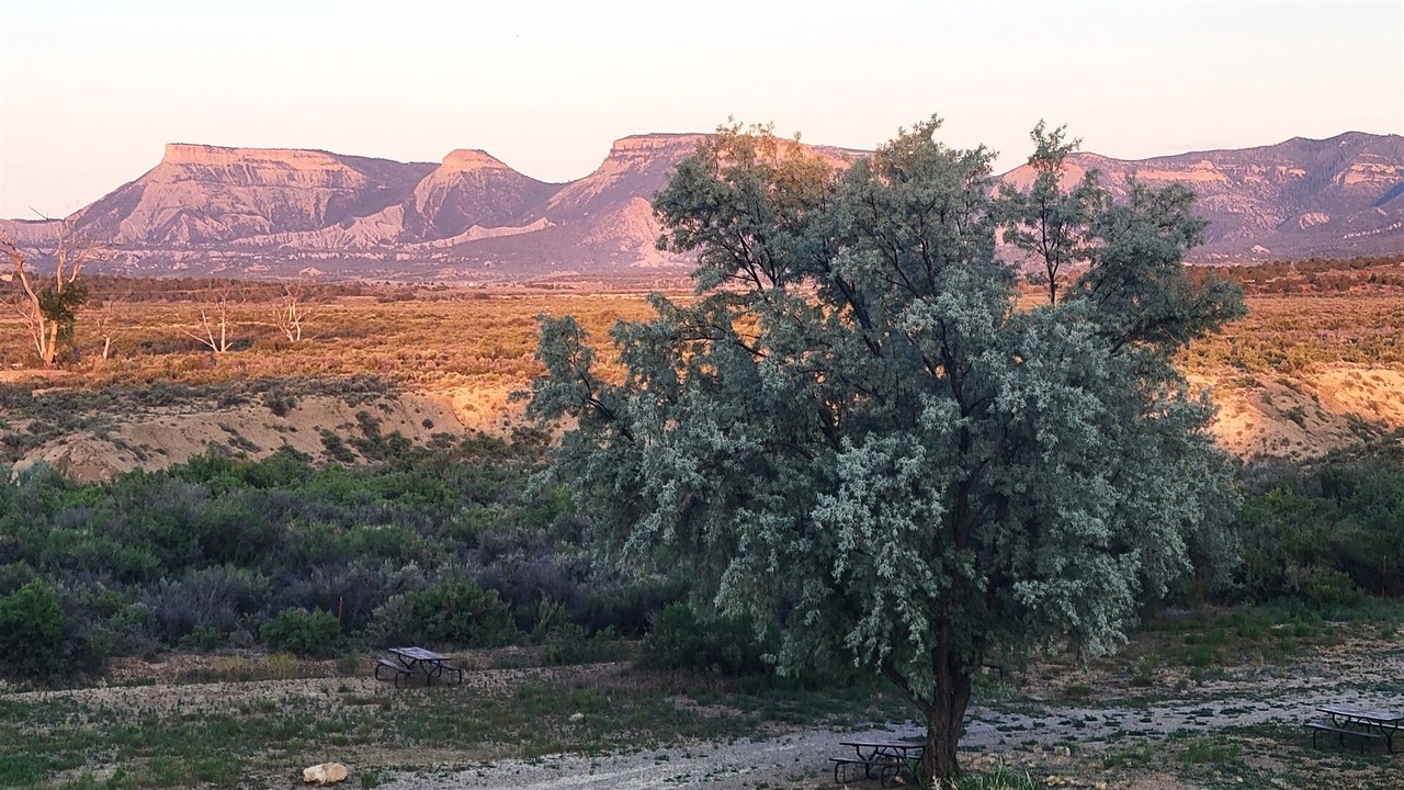 Photo of Others in Cortez