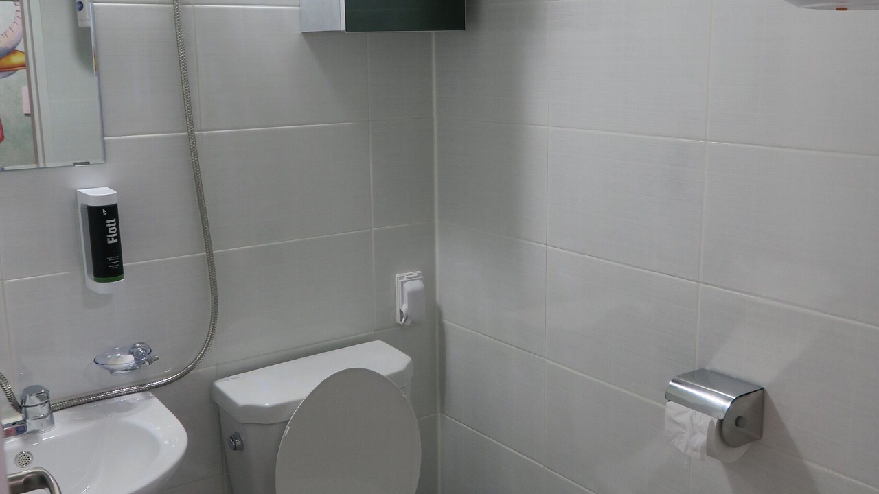 Photo of Bathroom in Irun