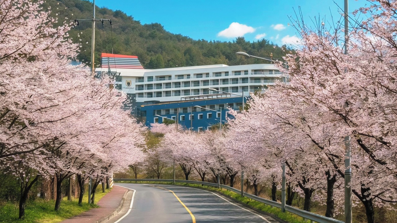 Photo of Outdoor in Irun