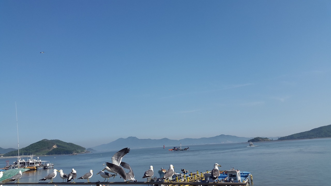 Photo of Others in Ganghwa
