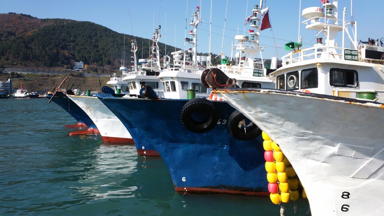 Photo of Others in Geoje