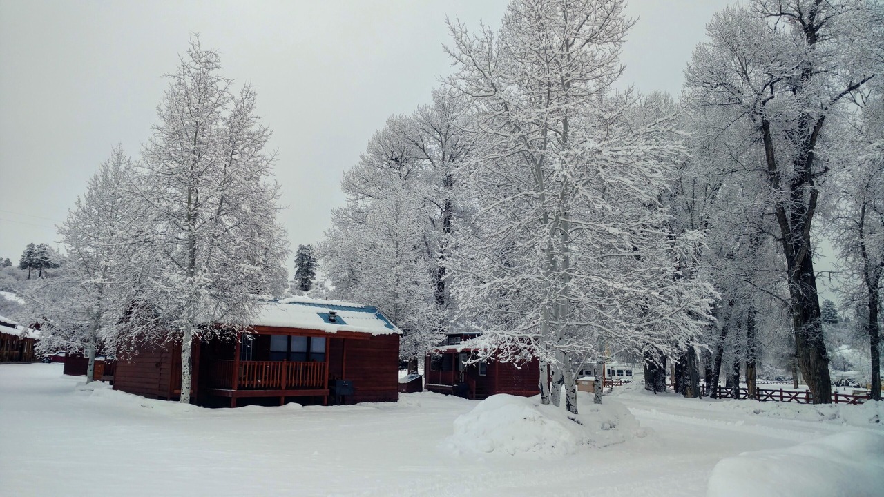 Photo of Others in Chama
