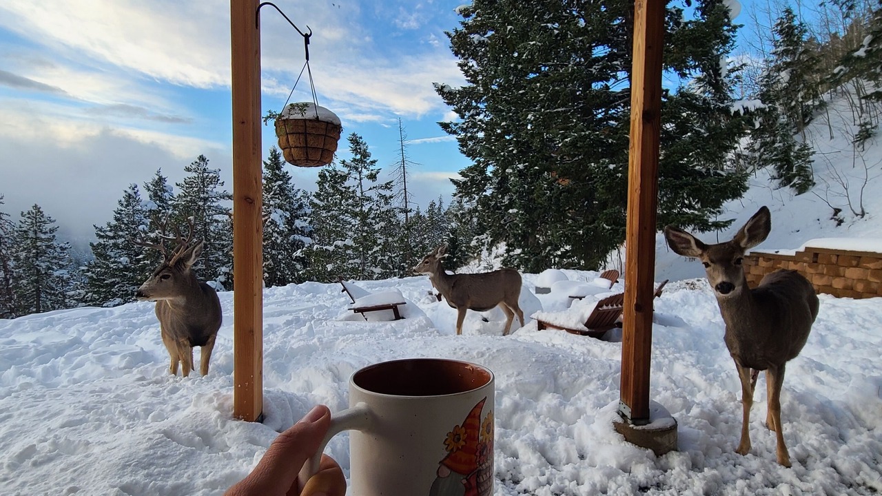 Photo of Outdoor in Shadow Mountain
