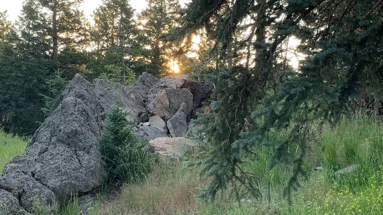 Photo of Others in Evergreen