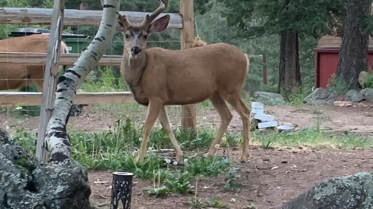 Photo of Others in Evergreen
