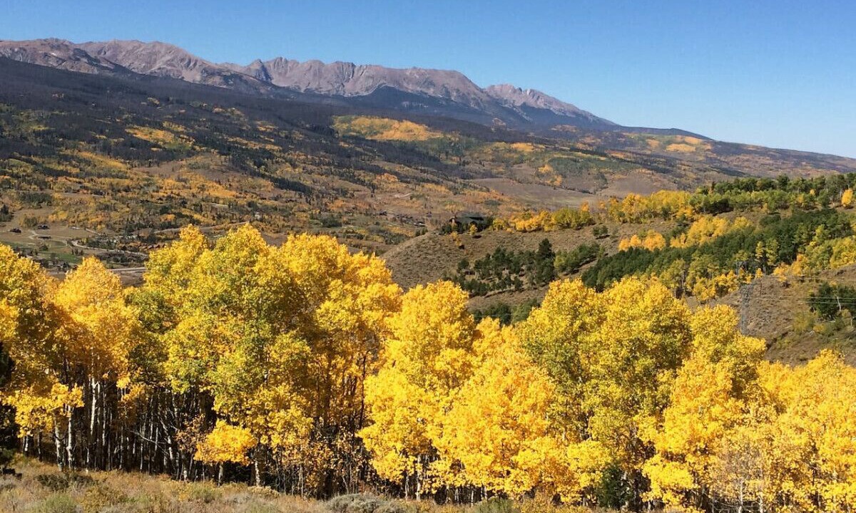 Photo of Others in Leadville North