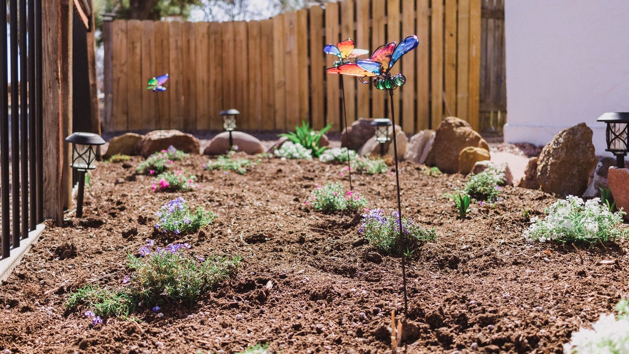 Photo of Outdoor in Central Colorado Springs
