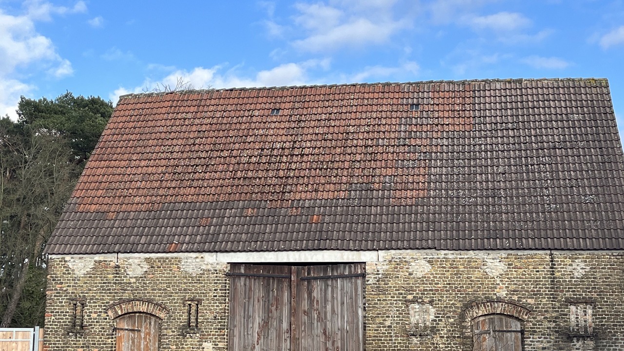 Photo of Outdoor in Kallinchen