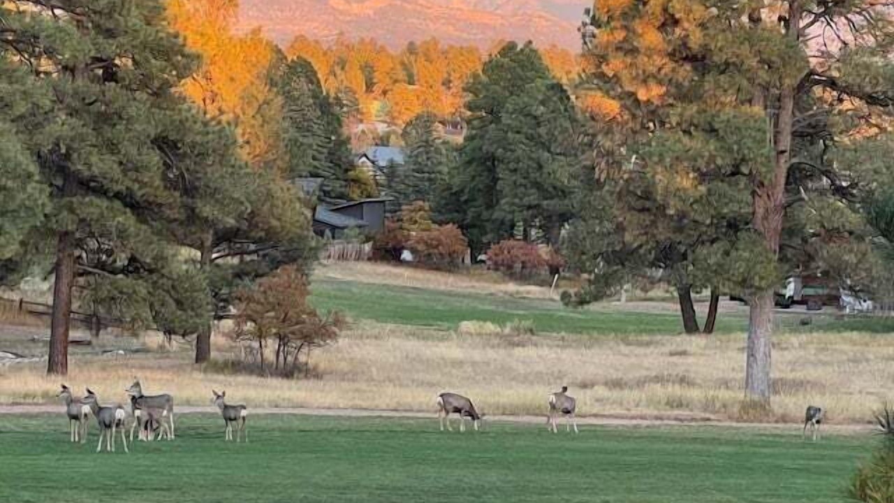 Photo of Outdoor in Pagosa Springs