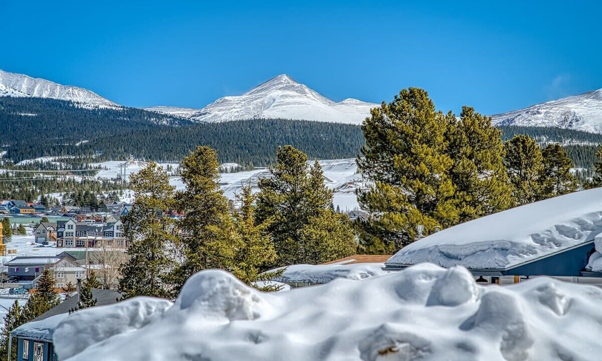 Photo of Others in Leadville North